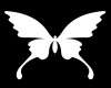 CS Butterfly in White
