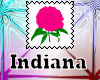 Indiana State Flower