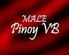 IX Pinoy VB