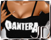 (JD)Pantera Logo Top