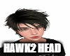 Hawk2 Head