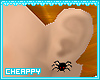 Spider Studs Earrings