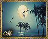 MOONLIGHT BEACH BG