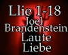 Joel Brandenstein