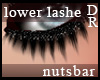 n: lower dramatic lashDR
