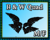 B & W Quad wings