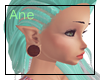 Wooden Plugs | Ane
