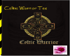 Celtic Warrior Male Tee