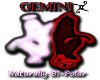 Gemini Bi-Polar Sticker