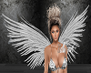 Angel Animated Wings