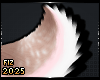 . Adore | Tail
