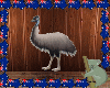 AUSSIE EMU