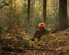 Pumpkin Head Forest BG