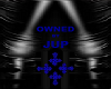  Collar Owned by Jup