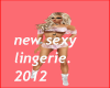 new sexy lingiere.2012.