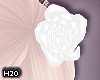 White Hair Roses