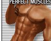 PERFECT MUSCLES D