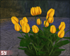 sy| yellow tulip