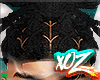 xOz Web x Dreads '24