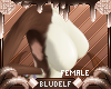 BE Mogwai F-Cup