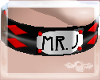 ~a~ Mr J Collar HQ