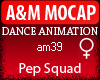 A&M Dance *Pep Squad*