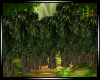 Jungle Trees Circle