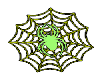 Spider in web Green