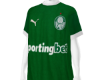 ⚽ Palmeiras 2025 ⚽
