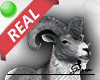 🟢 Goat Pet
