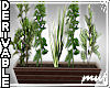 !Planter for Cafe DER