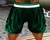 [JH] Green Gym Shorts