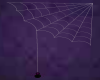 Creepy Spider Web