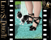 shoes black