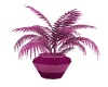 Aerobic  Plant Vase