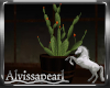 Pale Horse Cactus 2