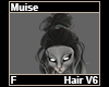 Muise Hair F V6