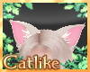 |CAT| Cream Neko Ears