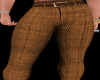 Elegant Brown Pants