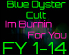 [D.E]Blue Oyster Cult