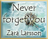 Never Forget You | 