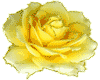 sticker  rose