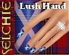 !!S Saltire Nails Dainty