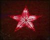 Glowing Star Red