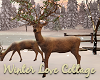 WLC Winter Deer
