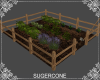 [SC] Herb Garden