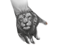 tatto lion tatto lion