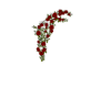 Ivy Roses Wall Decor