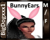 [BD]BunnyEars