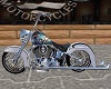 In the Wind Softail